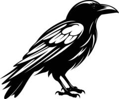 Black and white illustration of a raven in a detailed, stylized pose vector