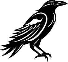 A striking black and white silhouette of a raven, perfect for designs that require a bold and mysterious aesthetic vector