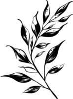 Simple, elegant black and white botanical illustration of a delicate branch with leaves vector