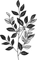Elegant black and white illustration of a stylized plant branch with leaves, perfect for adding a touch of nature to your designs vector