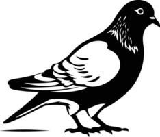 Black and white illustration of a pigeon in a simple, stylized design vector