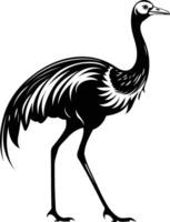 A striking black and white silhouette of an emu, showcasing its unique features and graceful posture vector