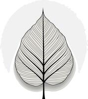 Single Leaf Illustration on a Grey Background vector
