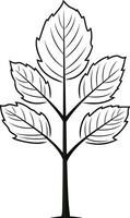 Outline of a Small Tree with Five Leaves vector