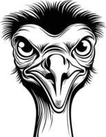 A bold, black and white illustration of an ostrich's head, featuring a detailed, intense expression vector