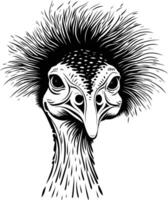 A striking black and white illustration of a cassowary's head, capturing its unique features and intense gaze vector