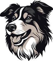 Smiling Border Collie Portrait vector