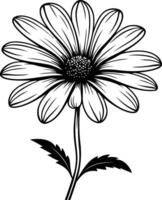 A simple yet elegant line drawing of a daisy with detailed petals and leaves vector
