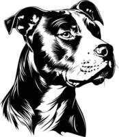 A striking black and white illustration of a pit bull's head, perfect for dog loving designs vector