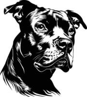 A striking black and white illustration of a pit bull's head, showcasing its strong features and intense gaze vector