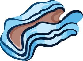 Blue and Brown Seashell Illustration vector