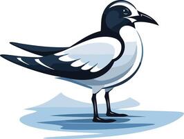 Seagull Illustration A Simple and Stylized Design vector