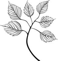 Simple black and white line drawing of a delicate branch with five leaves vector