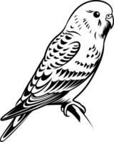 Black and white element illustration of a budgie perched on a branch vector