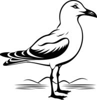 A simple, black and white line drawing of a seagull standing on the beach vector
