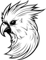 A fierce and detailed line drawing of a parrot's head, perfect for tattoo designs, branding, or any project needing a bold, graphic style vector