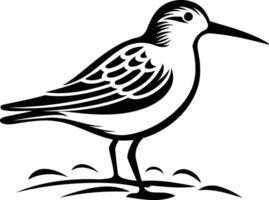 Black and white illustration of a sandpiper standing on the ground vector