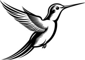 A sleek and elegant line drawing of a hummingbird in flight vector