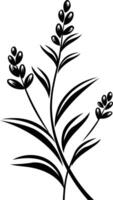 Simple yet elegant, this black and white silhouette of a delicate sprig of flowers adds a touch of nature to any design vector