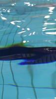 background made of a close-up of pool water. Close-up of pool water. Water pool pattern background video