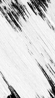Abstract paint brush stroke black and white transition background, animation of paint splash. Brush stroke black and white transition background. Animation of paint splash video