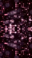 Lights colorful bokeh background. Elegant colorful abstract. Disco background with circles and stars. Disco lights illuminate foliage, plants. Animation of rotation magical and colorful waves with video