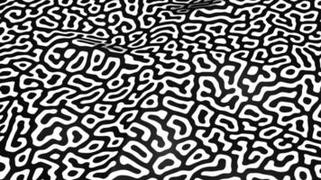 Black and white pattern. Motion.A pattern that looks like a drawing that sways like a sheet in abstraction. video