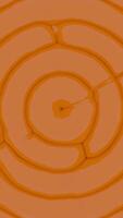 Circular abstract repeating element background. Design. Surface looking like spreading rings, cartoon style. video