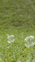 Soap bubbles against the grass background. Action. Summer landscape with soap bubbles lying on the green meadow, concept of childhood and fun. video