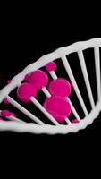 Moving 3d dna spiral with colored molecules. Design. Colored spherical molecules on dna helix. Diseases in the form of colored molecules in dna chain video