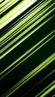 Diagonal lines structure. Abstract colored geometric shapes. Computer generated loop animation. Geometric pattern. Creative Design Element. Motion lines abstract background. Elegant and luxury dynamic video