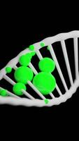 Colored molecules on dna. Design. 3D animation of dna chain with moving molecules. Disease of dna structure in form of colored molecules video