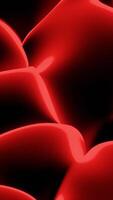 Abstract moving entrails of human body. Design. Motion of guts, concept of science. video
