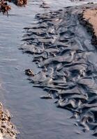 Kuyalnik Liman, water flows out of mud baths and flows into Kuyalnik Liman photo