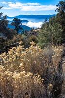 Beautiful mountain scenery on the background of clouds, layers of mountains on the horizon, Sierra Nevada Mountains, California, USA photo