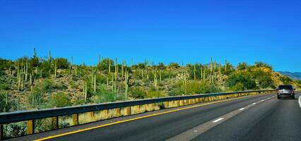 A car road against the backdrop of a stone desert with giant cacti in winter in Arizona photo
