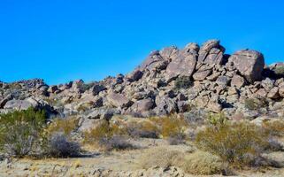 Rock desert landscape in California, yucca, cacti and desert plants in the foreground photo