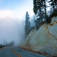 Mountain pass - view from the top of the mountain, coniferous trees in clouds on the slopes of the Sierra Nevada mountains, California, USA photo