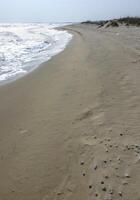 Wide sandy beach, waves with white foam roll on the shore photo