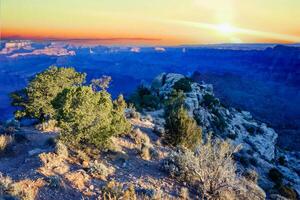 Scenic view of the grand canyon bathed in vibrant sunset colors, Grand Canyon national park, Arizona, USA photo