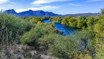 A mountain river flows in a valley covered with bushes and trees photo