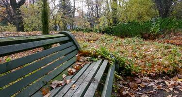 Old wooden bench for relaxing in the garden in autumn photo