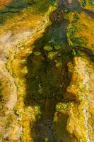 Algae-bacterial mats. Hot thermal spring, hot pool in the Yellowstone NP photo