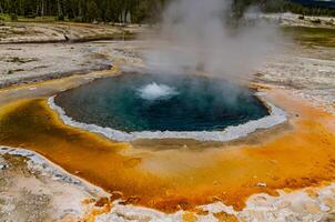 Boiling water bubbler Geyser. Active geyser with major eruptions. Yellowstone NP, Wyoming, US photo