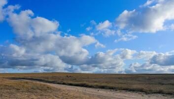 Thunderstorm clouds over the Crimean Peninsula in summer photo