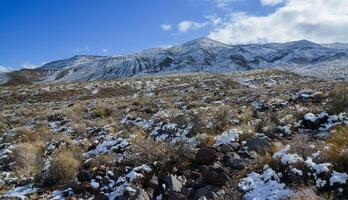 Snow in the mountains, Snow-covered mountain pass, desert plants under the snow in summer photo
