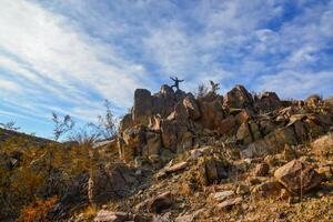 Rock desert landscape in California, yucca, cacti and desert plants in the foreground. photo