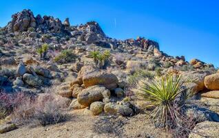 Rock desert landscape in California, yucca, cacti and desert plants in the foreground. photo
