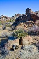 Rock desert landscape in California, yucca, cacti and desert plants in the foreground. photo