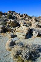 Rock desert landscape in California, yucca, cacti and desert plants in the foreground photo